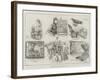 Cage-Bird Show at the Crystal Palace-S.t. Dadd-Framed Giclee Print
