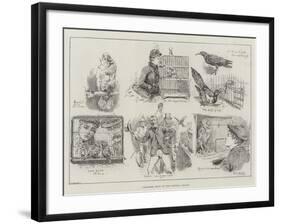 Cage-Bird Show at the Crystal Palace-S.t. Dadd-Framed Giclee Print