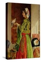 Caged Doves-John Frederick Lewis-Stretched Canvas