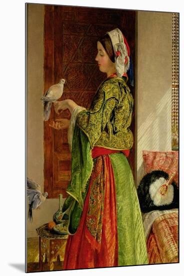 Caged Doves-John Frederick Lewis-Mounted Giclee Print