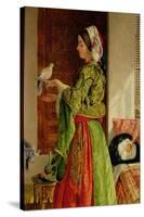Caged Doves-John Frederick Lewis-Stretched Canvas