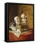 Caged Kittens-Henriette Ronner-Knip-Framed Stretched Canvas
