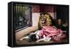 Caged Lion with Sleeping Woman, C19th Century-null-Framed Stretched Canvas