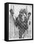 Caged Lion-null-Framed Stretched Canvas