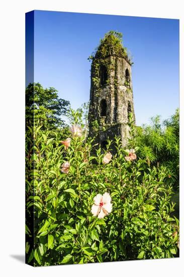 Cagsawa Church, Mount Mayon, Legaspi, Southern Luzon, Philippines, Southeast Asia, Asia-Michael Runkel-Stretched Canvas