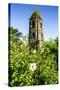 Cagsawa Church, Mount Mayon, Legaspi, Southern Luzon, Philippines, Southeast Asia, Asia-Michael Runkel-Stretched Canvas
