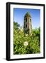 Cagsawa Church, Mount Mayon, Legaspi, Southern Luzon, Philippines, Southeast Asia, Asia-Michael Runkel-Framed Photographic Print