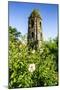 Cagsawa Church, Mount Mayon, Legaspi, Southern Luzon, Philippines, Southeast Asia, Asia-Michael Runkel-Mounted Photographic Print