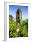 Cagsawa Church, Mount Mayon, Legaspi, Southern Luzon, Philippines, Southeast Asia, Asia-Michael Runkel-Framed Photographic Print