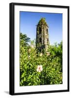 Cagsawa Church, Mount Mayon, Legaspi, Southern Luzon, Philippines, Southeast Asia, Asia-Michael Runkel-Framed Photographic Print