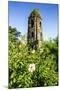 Cagsawa Church, Mount Mayon, Legaspi, Southern Luzon, Philippines, Southeast Asia, Asia-Michael Runkel-Mounted Photographic Print