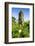 Cagsawa Church, Mount Mayon, Legaspi, Southern Luzon, Philippines, Southeast Asia, Asia-Michael Runkel-Framed Photographic Print