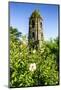 Cagsawa Church, Mount Mayon, Legaspi, Southern Luzon, Philippines, Southeast Asia, Asia-Michael Runkel-Mounted Photographic Print