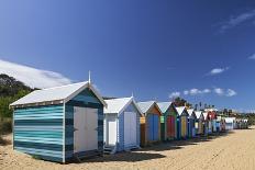 The Colourful Brighton Bathing Boxes Located on Middle Brighton Beach, Brighton, Melbourne-Cahir Davitt-Photographic Print