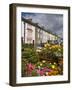 Cahir Town, County Tipperary, Munster, Republic of Ireland, Europe-Richard Cummins-Framed Photographic Print