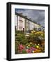 Cahir Town, County Tipperary, Munster, Republic of Ireland, Europe-Richard Cummins-Framed Photographic Print