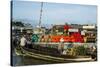 Cai Rang Floating Market at the Mekong Delta, Can Tho, Vietnam, Indochina, Southeast Asia, Asia-Yadid Levy-Stretched Canvas