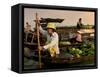 Cai Rang Floating Market on the Mekong Delta, Can Tho, Vietnam, Indochina, Southeast Asia, Asia-Andrew Mcconnell-Framed Stretched Canvas