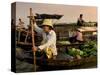 Cai Rang Floating Market on the Mekong Delta, Can Tho, Vietnam, Indochina, Southeast Asia, Asia-Andrew Mcconnell-Stretched Canvas