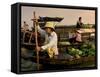 Cai Rang Floating Market on the Mekong Delta, Can Tho, Vietnam, Indochina, Southeast Asia, Asia-Andrew Mcconnell-Framed Stretched Canvas