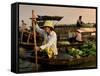 Cai Rang Floating Market on the Mekong Delta, Can Tho, Vietnam, Indochina, Southeast Asia, Asia-Andrew Mcconnell-Framed Stretched Canvas