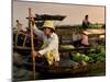 Cai Rang Floating Market on the Mekong Delta, Can Tho, Vietnam, Indochina, Southeast Asia, Asia-Andrew Mcconnell-Mounted Photographic Print