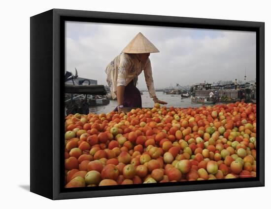 Cai Rang Floating Market on the Mekong Delta, Can Tho, Vietnam, Indochina, Southeast Asia-Andrew Mcconnell-Framed Stretched Canvas