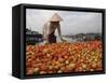 Cai Rang Floating Market on the Mekong Delta, Can Tho, Vietnam, Indochina, Southeast Asia-Andrew Mcconnell-Framed Stretched Canvas