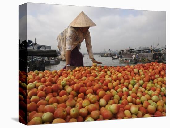 Cai Rang Floating Market on the Mekong Delta, Can Tho, Vietnam, Indochina, Southeast Asia-Andrew Mcconnell-Stretched Canvas