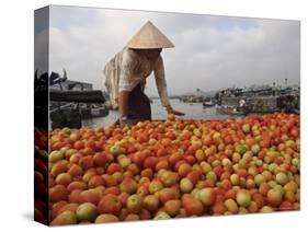 Cai Rang Floating Market on the Mekong Delta, Can Tho, Vietnam, Indochina, Southeast Asia-Andrew Mcconnell-Stretched Canvas