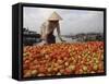 Cai Rang Floating Market on the Mekong Delta, Can Tho, Vietnam, Indochina, Southeast Asia-Andrew Mcconnell-Framed Stretched Canvas