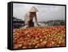 Cai Rang Floating Market on the Mekong Delta, Can Tho, Vietnam, Indochina, Southeast Asia-Andrew Mcconnell-Framed Stretched Canvas