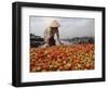 Cai Rang Floating Market on the Mekong Delta, Can Tho, Vietnam, Indochina, Southeast Asia-Andrew Mcconnell-Framed Photographic Print