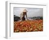 Cai Rang Floating Market on the Mekong Delta, Can Tho, Vietnam, Indochina, Southeast Asia-Andrew Mcconnell-Framed Photographic Print