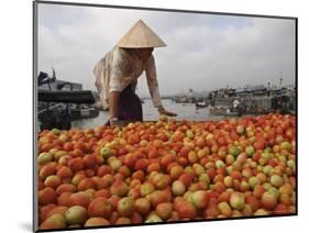 Cai Rang Floating Market on the Mekong Delta, Can Tho, Vietnam, Indochina, Southeast Asia-Andrew Mcconnell-Mounted Photographic Print