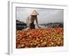 Cai Rang Floating Market on the Mekong Delta, Can Tho, Vietnam, Indochina, Southeast Asia-Andrew Mcconnell-Framed Photographic Print