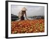 Cai Rang Floating Market on the Mekong Delta, Can Tho, Vietnam, Indochina, Southeast Asia-Andrew Mcconnell-Framed Photographic Print