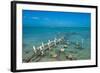 Caicos conch farm, Providenciales, Turks and Caicos, Caribbean, Central America-Michael Runkel-Framed Photographic Print