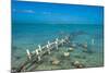 Caicos conch farm, Providenciales, Turks and Caicos, Caribbean, Central America-Michael Runkel-Mounted Photographic Print