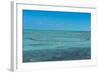 Caicos conch farm, Providenciales, Turks and Caicos, Caribbean, Central America-Michael Runkel-Framed Photographic Print