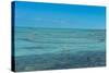 Caicos conch farm, Providenciales, Turks and Caicos, Caribbean, Central America-Michael Runkel-Stretched Canvas