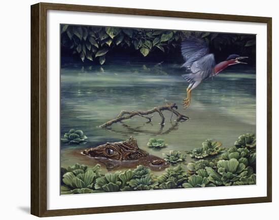 Caiman and Green-Backed Heron-Harro Maass-Framed Giclee Print