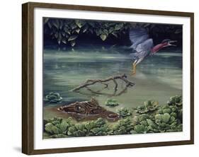 Caiman and Green-Backed Heron-Harro Maass-Framed Giclee Print