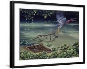 Caiman and Green-Backed Heron-Harro Maass-Framed Giclee Print