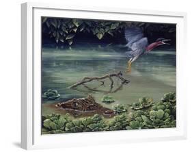 Caiman and Green-Backed Heron-Harro Maass-Framed Giclee Print