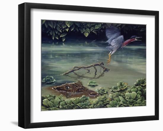 Caiman and Green-Backed Heron-Harro Maass-Framed Giclee Print