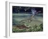 Caiman and Green-Backed Heron-Harro Maass-Framed Giclee Print