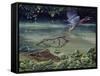 Caiman and Green-Backed Heron-Harro Maass-Framed Stretched Canvas
