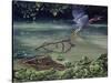 Caiman and Green-Backed Heron-Harro Maass-Stretched Canvas