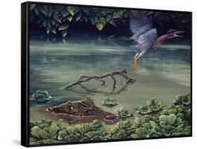 Caiman and Green-Backed Heron-Harro Maass-Framed Stretched Canvas